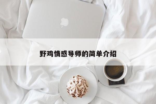 野雞情感導(dǎo)師的簡單介紹