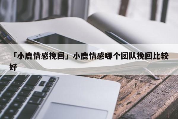 「小鹿情感挽回」小鹿情感哪個團(tuán)隊挽回比較好