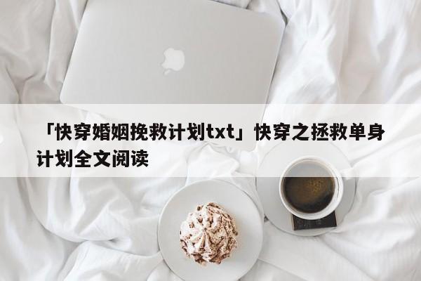 「快穿婚姻挽救計劃txt」快穿之拯救單身計劃全文閱讀