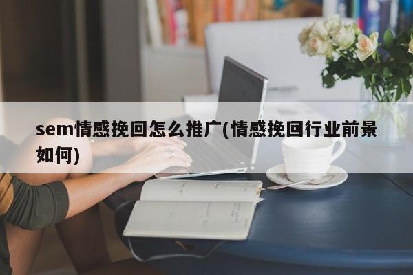 sem情感挽回怎么推廣(情感挽回行業(yè)前景如何)