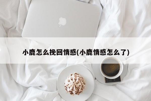 小鹿怎么挽回情感(小鹿情感怎么了)