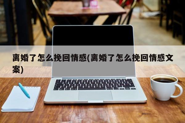 離婚了怎么挽回情感(離婚了怎么挽回情感文案)