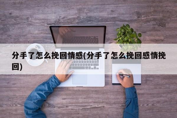 分手了怎么挽回情感(分手了怎么挽回感情挽回)