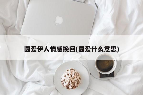 圓愛伊人情感挽回(圓愛什么意思)