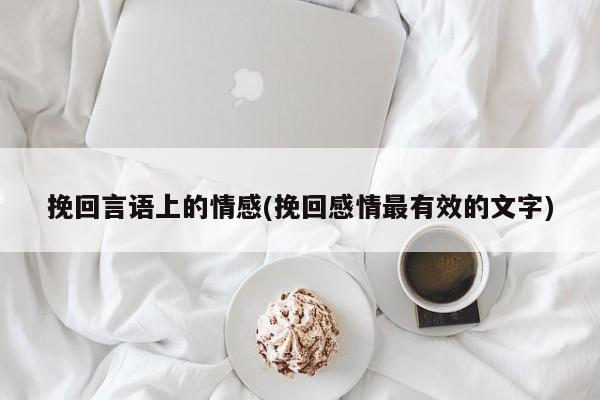 挽回言語上的情感(挽回感情最有效的文字)