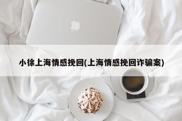 小徐上海情感挽回(上海情感挽回詐騙案)