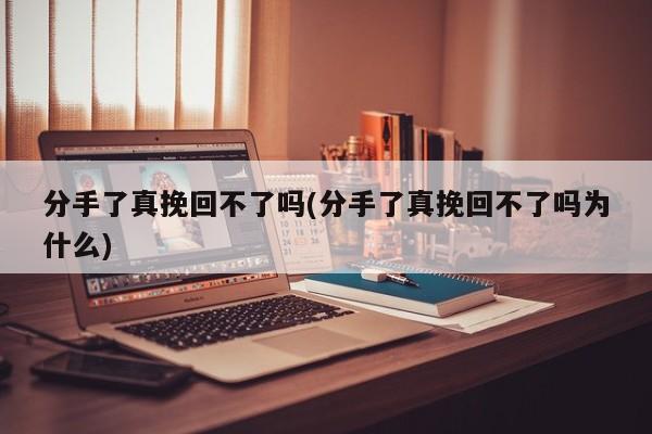 分手了真挽回不了嗎(分手了真挽回不了嗎為什么)