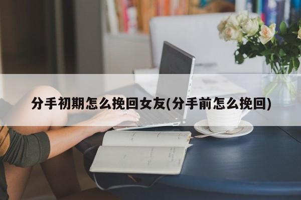 分手初期怎么挽回女友(分手前怎么挽回)