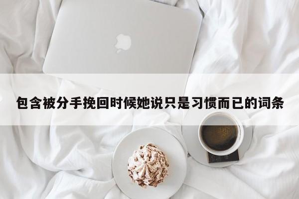 包含被分手挽回時候她說只是習慣而已的詞條