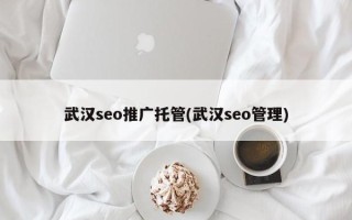 武漢seo推廣托管(武漢seo管理)