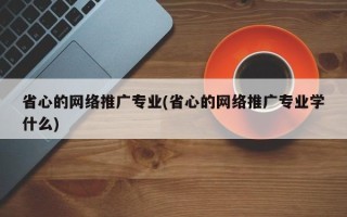 省心的網絡推廣專業(yè)(省心的網絡推廣專業(yè)學什么)