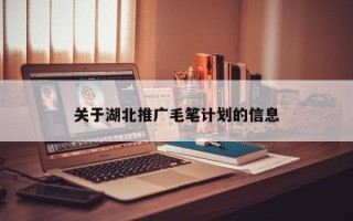 關(guān)于湖北推廣毛筆計劃的信息