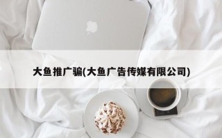 大魚推廣騙(大魚廣告?zhèn)髅接邢薰?