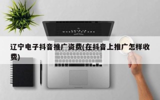 遼寧電子抖音推廣資費(在抖音上推廣怎樣收費)