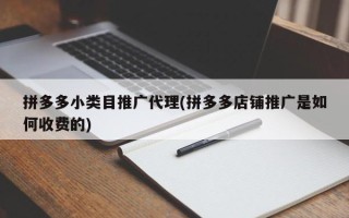 拼多多小類(lèi)目推廣代理(拼多多店鋪推廣是如何收費(fèi)的)