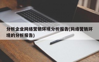 分析企業(yè)網(wǎng)絡(luò)營銷環(huán)境分析報(bào)告(網(wǎng)絡(luò)營銷環(huán)境的分析報(bào)告)