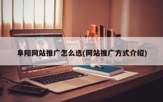 阜陽網(wǎng)站推廣怎么選(網(wǎng)站推廣方式介紹)