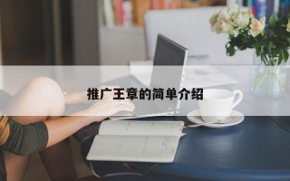 推廣王章的簡(jiǎn)單介紹