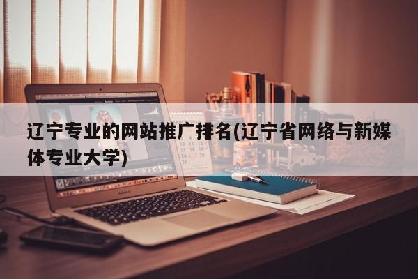 遼寧專業(yè)的網(wǎng)站推廣排名(遼寧省網(wǎng)絡(luò)與新媒體專業(yè)大學(xué))