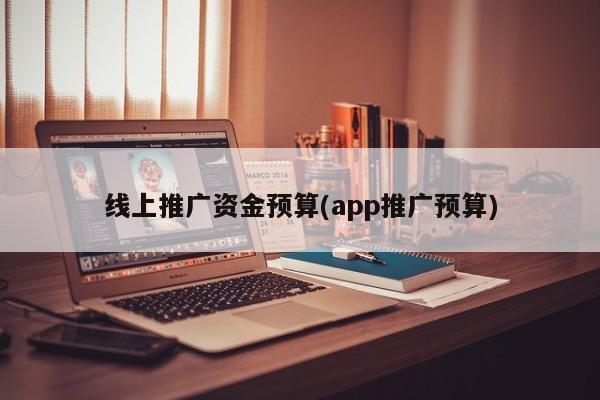 線上推廣資金預(yù)算(app推廣預(yù)算)