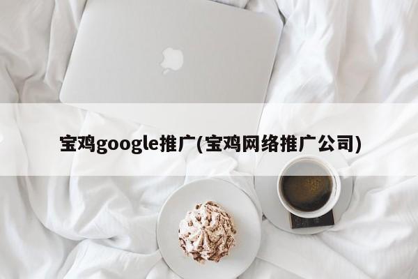 寶雞google推廣(寶雞網(wǎng)絡(luò)推廣公司)