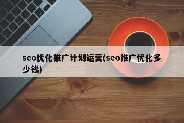 seo優(yōu)化推廣計(jì)劃運(yùn)營(seo推廣優(yōu)化多少錢)