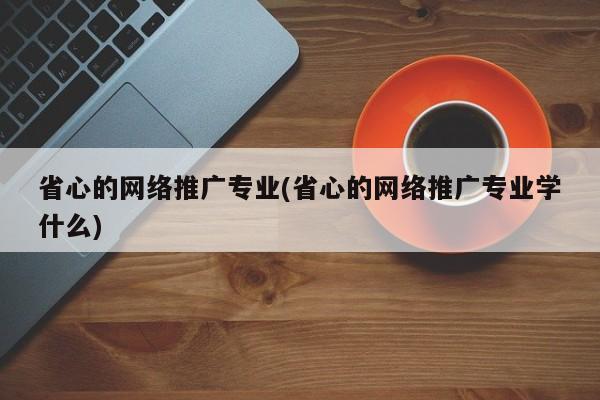 省心的網絡推廣專業(yè)(省心的網絡推廣專業(yè)學什么)