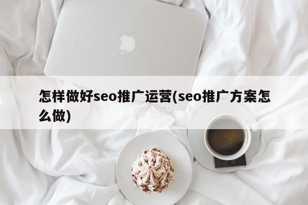 怎樣做好seo推廣運(yùn)營(yíng)(seo推廣方案怎么做)